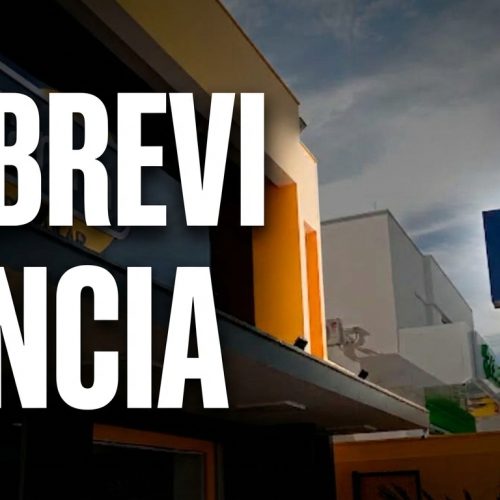 O Dilema da Ultrafarma: Adaptação ao Mercado ou Fuga da Incerteza Estatal?
